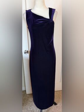 Robbie Bee Deep Purple Velvet Maxi Dress